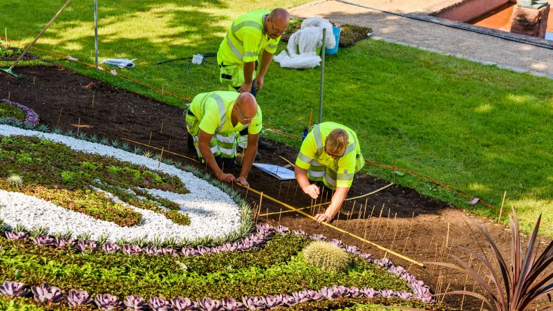 Landscaping detail