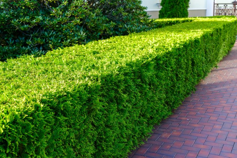 Landscaping detail