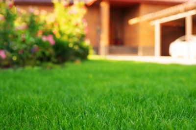 Landscaping detail