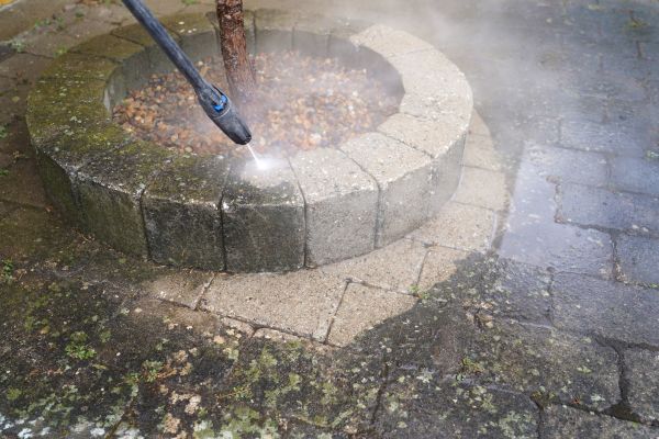 Moss Cleaning Services